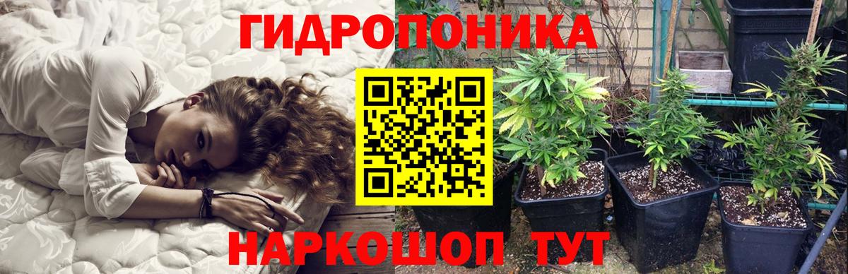 Марихуана план Ковров